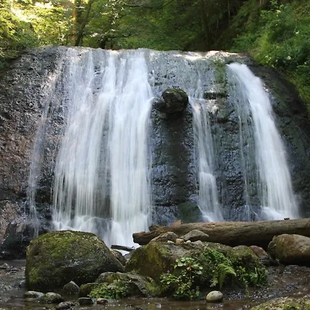 Campsite Les Vernieres Sancy 5*